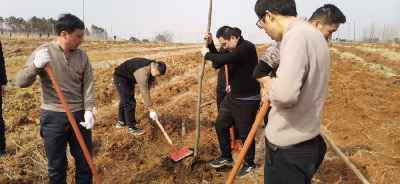孝昌：义务活动齐出力 植树造林护环境