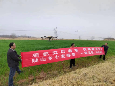 孝昌陡山：“一喷三防”稳产量 多措并举促丰收