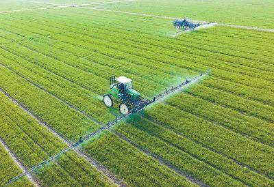 端稳端牢中国饭碗——从春耕一线看农业强国建设之一