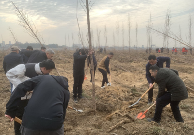孝昌县政数局：人人参与植树，共建绿色家园