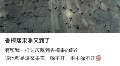 注意！孝昌街头正大量出现