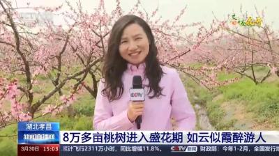 美上央视！孝昌桃花再次刷屏