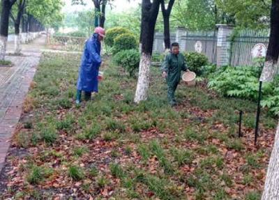 孝昌：结合降雨巧施肥 为园林植物“增”营养
