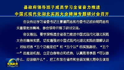 县政府领导班子成员学习全省奋力推进中国式现代化湖北实践大会精神专题研讨会召开