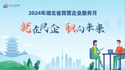 @广大求职者，2024年湖北省民营企业服务月来了