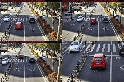 【五大曝光】斑马线前不礼让行人！