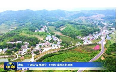 孝昌：“+旅游”深度融合 开创全域旅游新局面