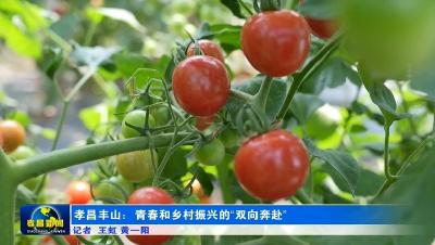孝昌丰山：青春和乡村振兴的“双向奔赴”