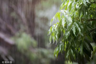 中雨、大雨、暴雨已到！何时停歇？