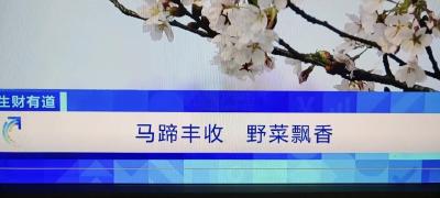 今晚7:00，孝昌将在央视CCTV-2《生财有道》硬控我30分钟