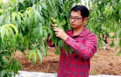 程琪：科技创新助力  桃产业提质增效