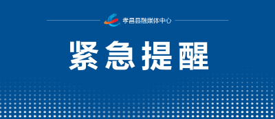 孝昌县气象台发布冰雹橙色预警[II级/严重]