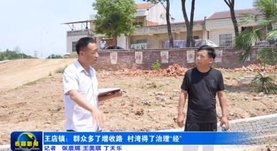 王店镇：群众多了增收路 村湾得了治理“经”