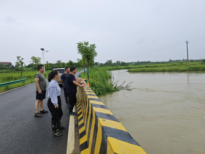 孝昌花西乡：以汛为令战暴雨 打好防汛组合拳
