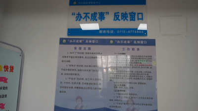 “优”无止境 一把手话环境②丨孝昌政数局：打好政务服务“牌” 做好营商环境事