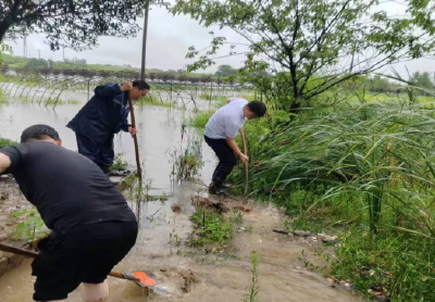 孝昌季店乡：闻汛而动战暴雨，向险而行勇担当