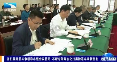 省扫黑除恶斗争领导小组会议强调不断夺取常态化扫黑除恶斗争新胜利