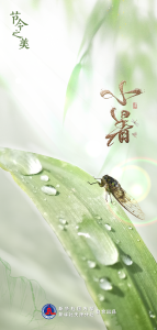 节到小暑进伏天，你有何消暑“凉”策？