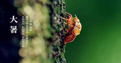 今天15时34分，正式迎来……