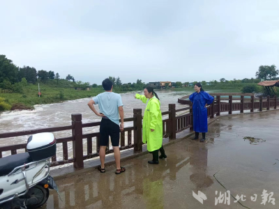 孝昌丰山镇：持续开展汛期安全隐患排查 