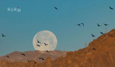 来了，今年首个“超级月亮”！千万别错过→ 