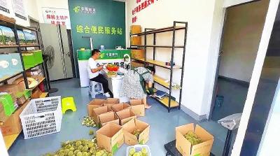 孝昌小悟：农村寄递物流 让山货“架云出山”