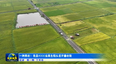 一种两收！孝昌县8000亩再生稻头茬开镰收割