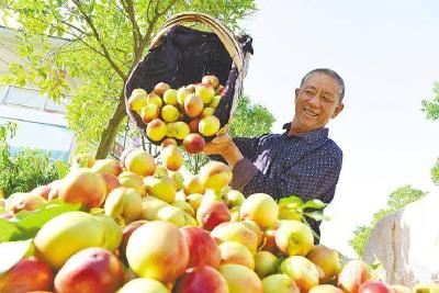 壮品牌 湖北孝昌“地标桃”有高招