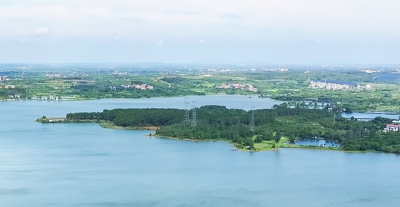 海报丨湖光山色 稻香邹岗 