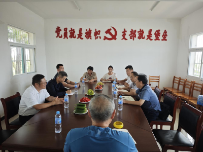 中国物流集团国际控股有限公司到孝昌季店调研
