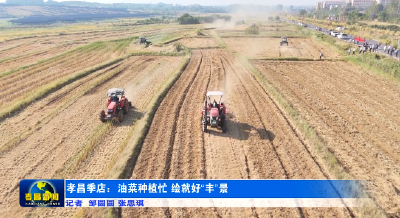 孝昌季店：油菜种植忙 绘就好“丰”景