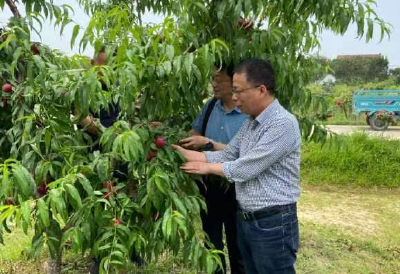 孝昌一专家工作站入选省级优秀工作案例