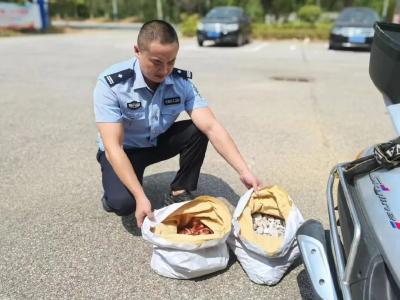 废铜变石头  “调包计”再现江湖