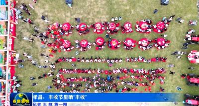 “果王”诞生，牛羊鹅当奖品！孝昌这场丰收节接地气有乐趣