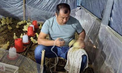 孝昌丰山：开展秋防工作 筑牢畜牧防疫屏障