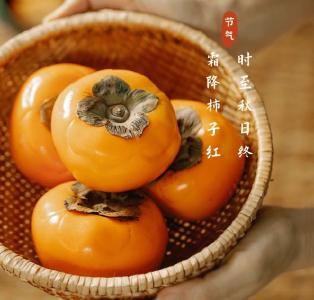 今日霜降，丹枫如火 