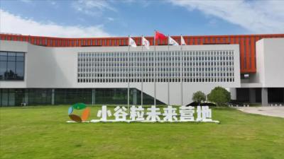 省级大赛开赛在即 孝昌小谷粒开启 “热血高校” 模式