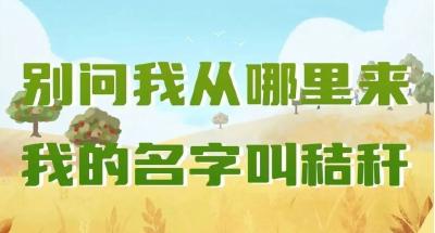 我叫秸秆 我不想做“废柴”