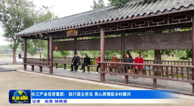 驻村工作半月谈丨长江产业投资集团：践行国企担当 用心用情促振兴 