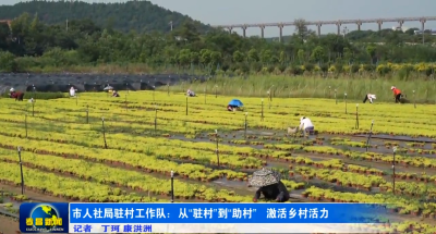 驻村工作半月谈丨市人社局驻村工作队：从“驻村”到“助村” 激活乡村活力