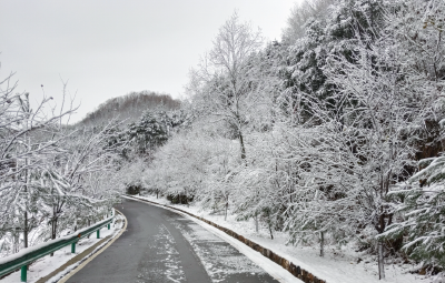 气温大跳水！湖北纷纷下雪！