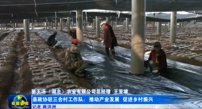 驻村工作半月谈丨县政协驻三合村工作队：推动产业发展 促进乡村振兴