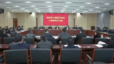 建良言，话发展！政协委员开展分组讨论 