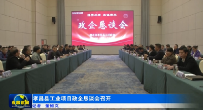 孝昌县工业项目政企恳谈会召开 