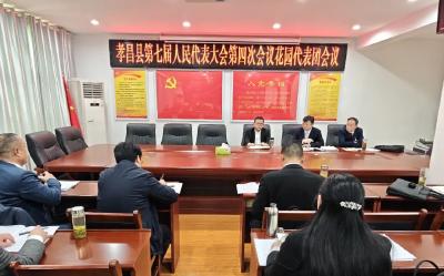 胡飞参加花园代表团分组讨论