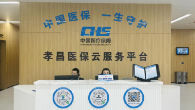 孝昌县政务服务中心：“医保云”线上帮办 打通医保服务“最后一米” 
