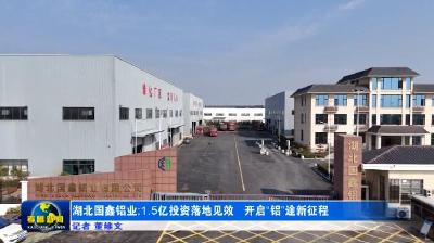 湖北国鑫铝业：1.5亿投资落地见效 开启“铝”途新征程