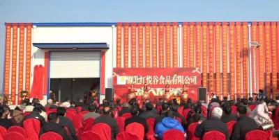 专注土特农产品加工！孝昌这家加工企业正式投产运营 