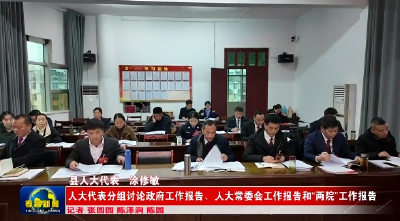 人大代表分组讨论政府工作报告、人大常委会工作报告和“两院”工作报告 