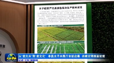 从“卖大米”到“卖文化” 孝昌太子米展厅全新启幕 农耕文明新篇绽放 